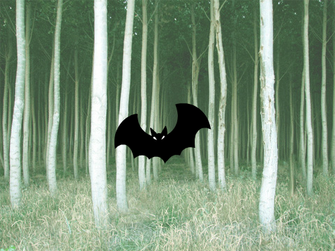 Adventure of the bat.