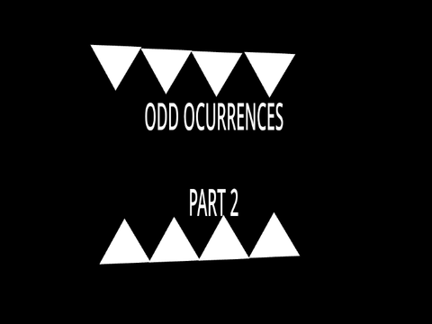 ODD OCCURRENCES PART 2                                         #odd occurrences