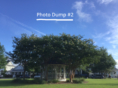 Photo Dump #2
