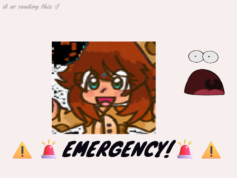 AN EMERGENCY!!!