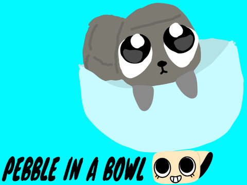 pebble in a bowl!