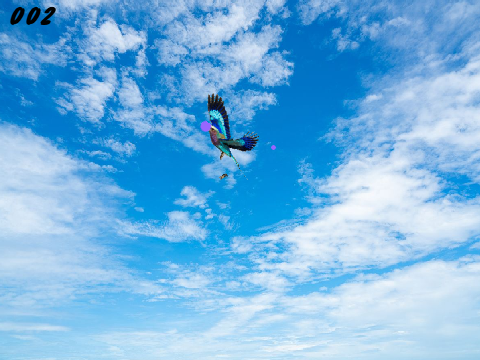 Flying (WIP)