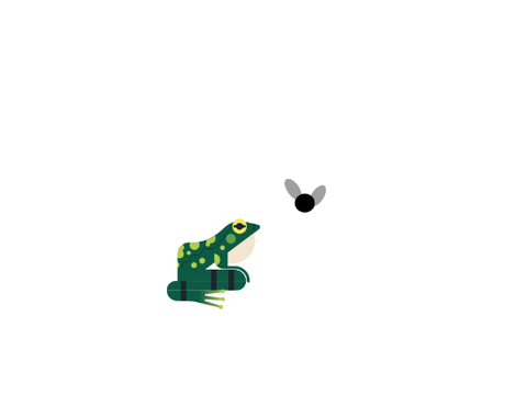 frog