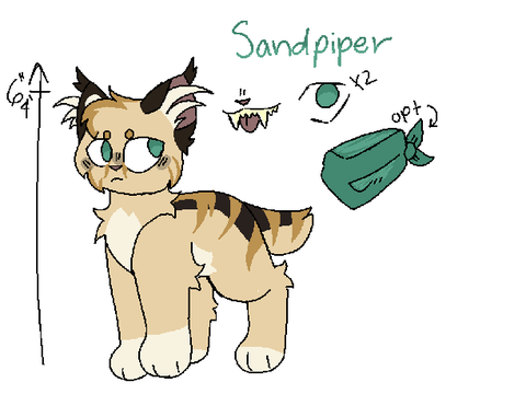 MotDRP kitty