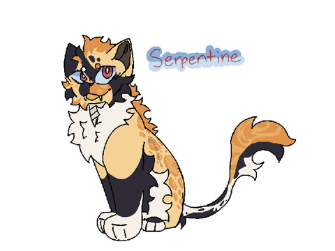Couple O' MotDRP adopts
