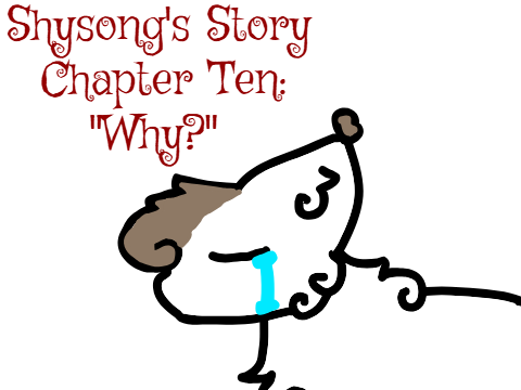 ~ Shysong's Story ~ Chapter Ten: "Why?"
