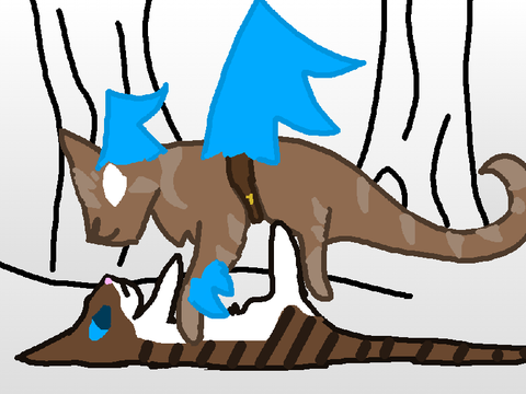 Part 31