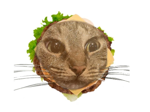 The Sad Cat Burger Song