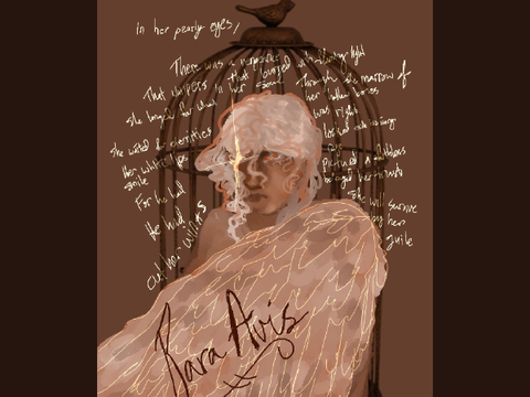 [ "Rara Avis" - art piece ]