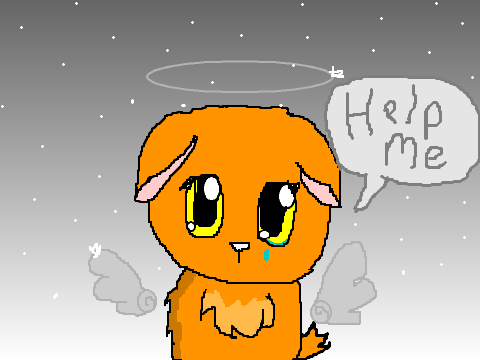 Remix if against animal curelty :c  remix