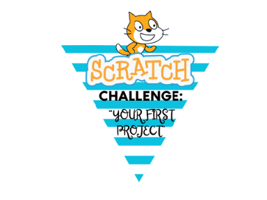 THE CHALLENGE: "YOUR FIRST PROJECT"