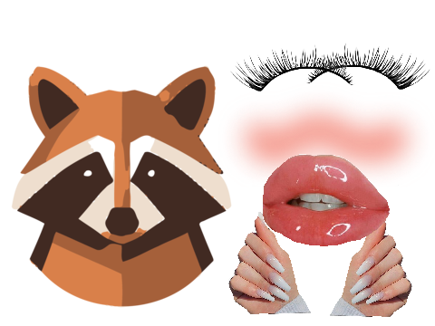 Preppy Raccoon Routine