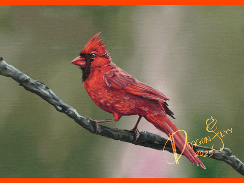 cardinal