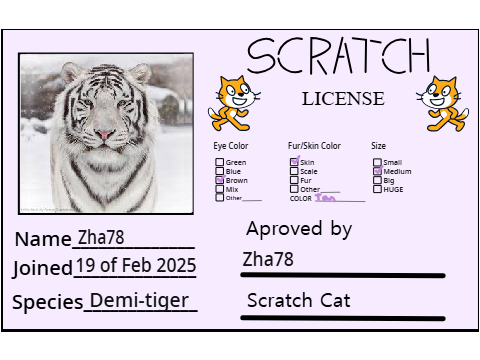 My Scratch License