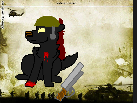 The Black Cat map 15