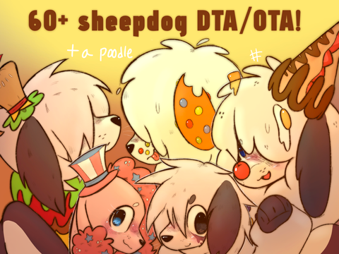 60+ follower sheepdog DTA/OTA! + a poodle