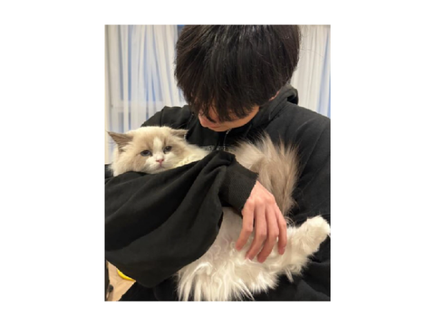 I GOT A CAT >3