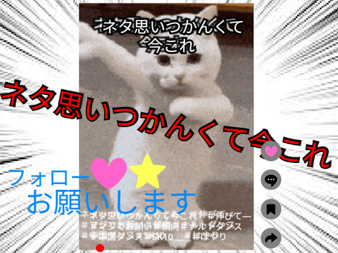ナルトダンス　【動画付き】【拡散希望】