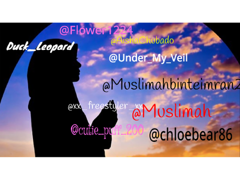 Sign if you love Islam   remix remix