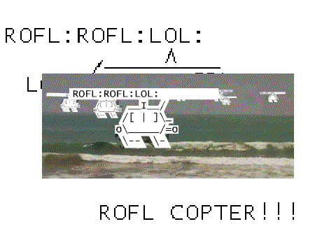 Roflcopter Attack