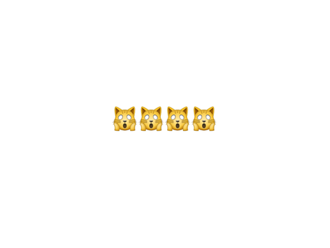 CAT REVEAL >:)