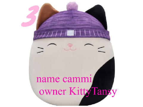 Adopt a squishmallow