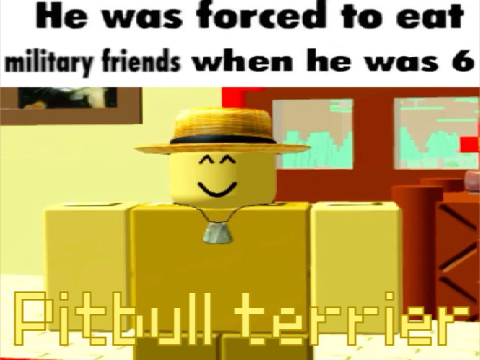 Pitbull terrier || meme