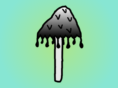 Mushroom speed-draw!