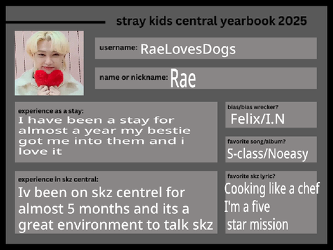[SKZ central] 2025 yearbook remix