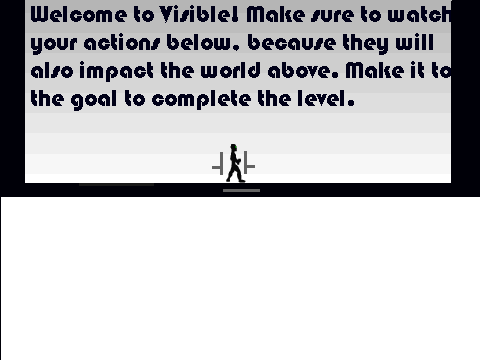 Visible-DEMO