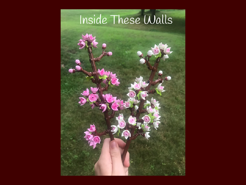 Inside These Walls (Entry)