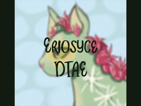 Eriosyce DTAE