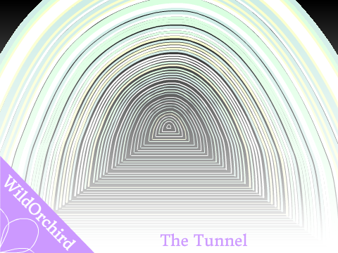 The Tunnel
