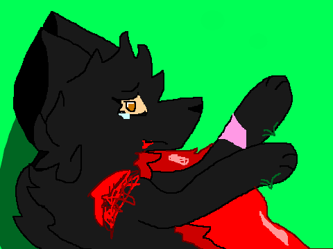 << Cold Water >>  "I love you, Fernstorm" ~AmberGaze