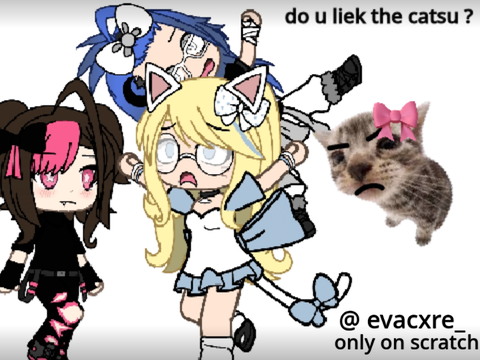 do u liek the catsu ?