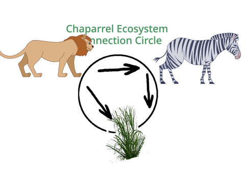 The savannnah ecosystem remix