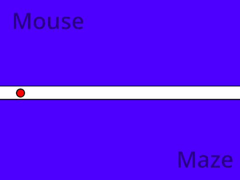 mouse maze