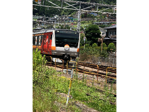 ついに撮れた、、、