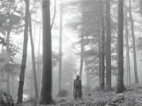 WORK IN PROGRESS folklore ts album cover
