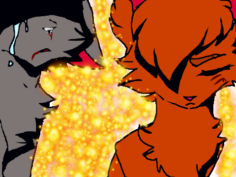 Somebody That I used To Know *CC* entry