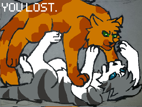 Warrior Cats Apprentice Game