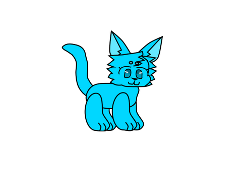 Puff The cat