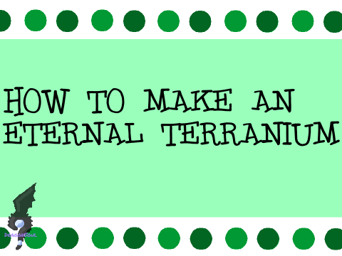 ~☀︎~ How to make an Eternal Terrarium ~☀︎~