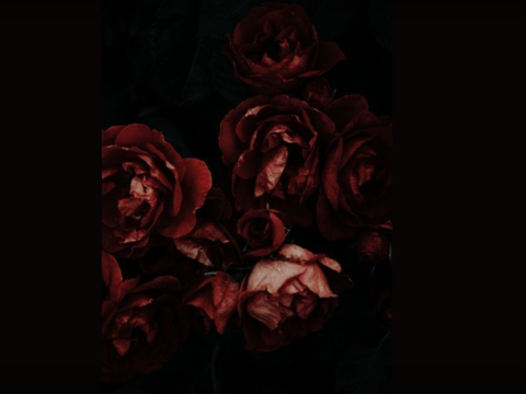 :: random cover (press flag to find out)