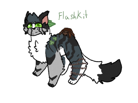 Flashkit accessories art :3