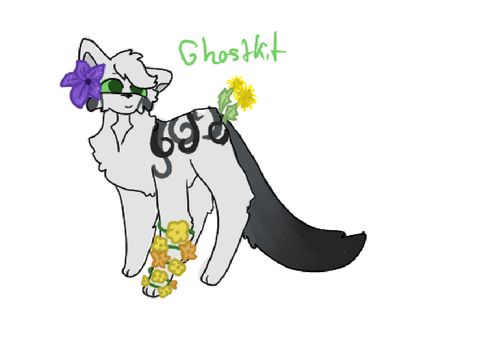 Ghostkit accessories art