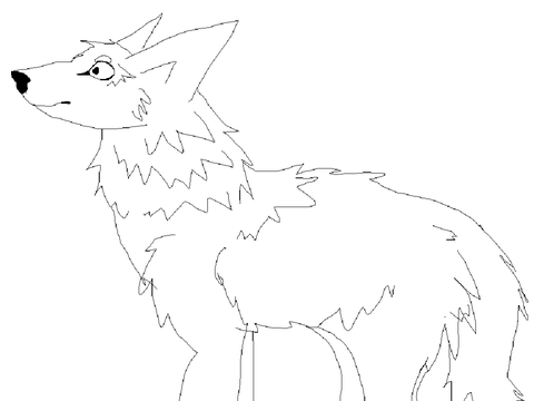 Wolf Test