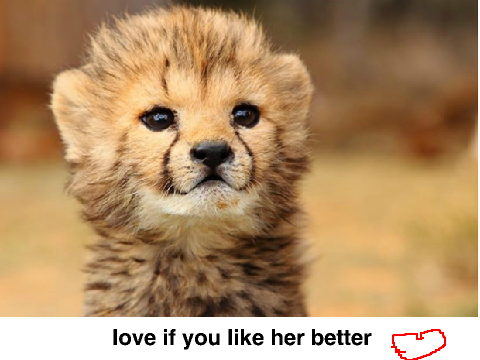 whos cuter???!!!!!!!!!!!!!
