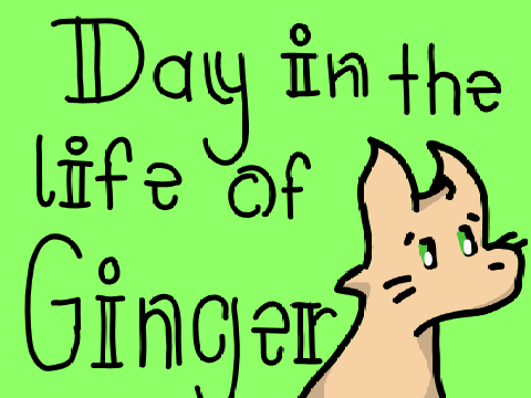 Day in the life of Ginger