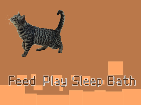 Get a cat and take care of it!